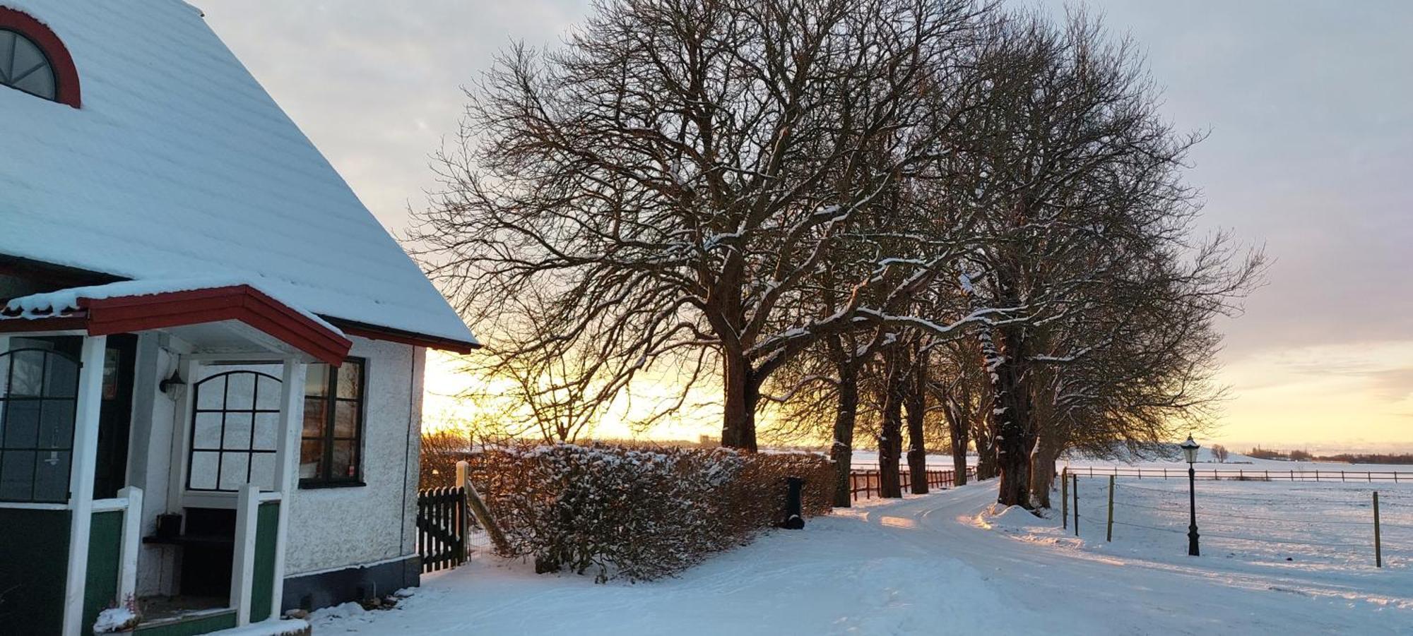 Lantligt Och Lugnt Boende Naera Natur Och Stad スヴェーダーラー自治体 エクステリア 写真