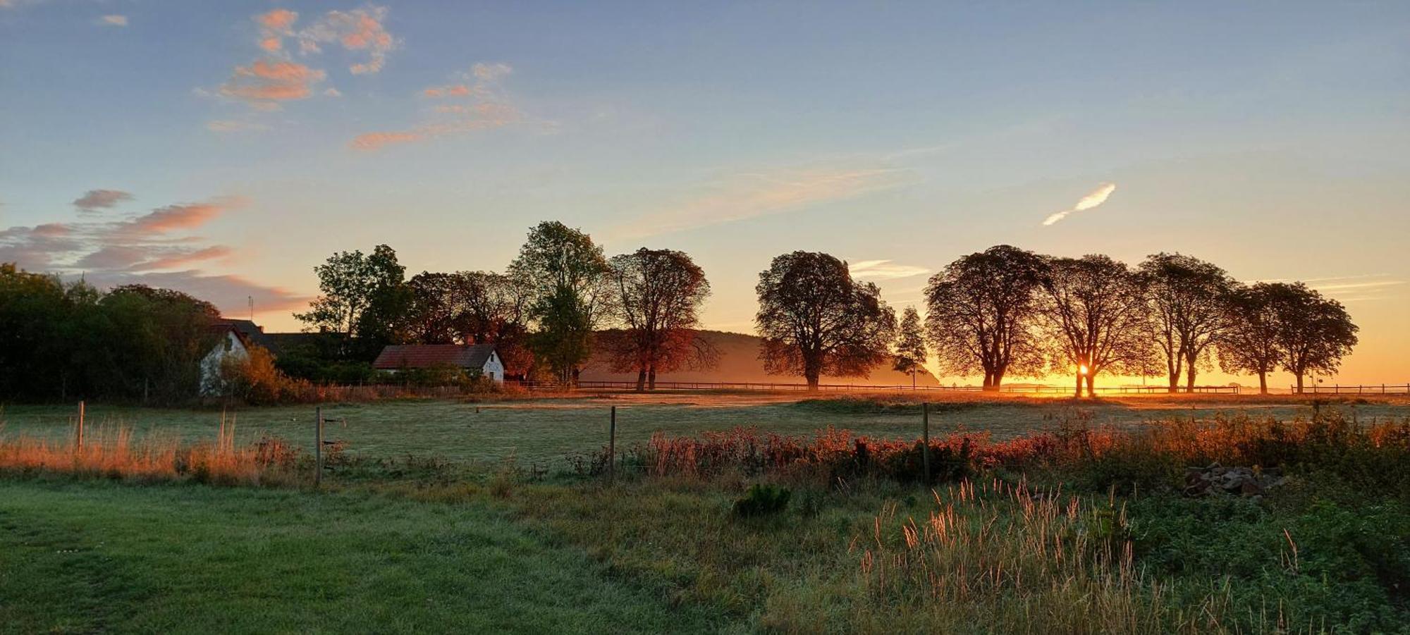 Lantligt Och Lugnt Boende Naera Natur Och Stad スヴェーダーラー自治体 エクステリア 写真