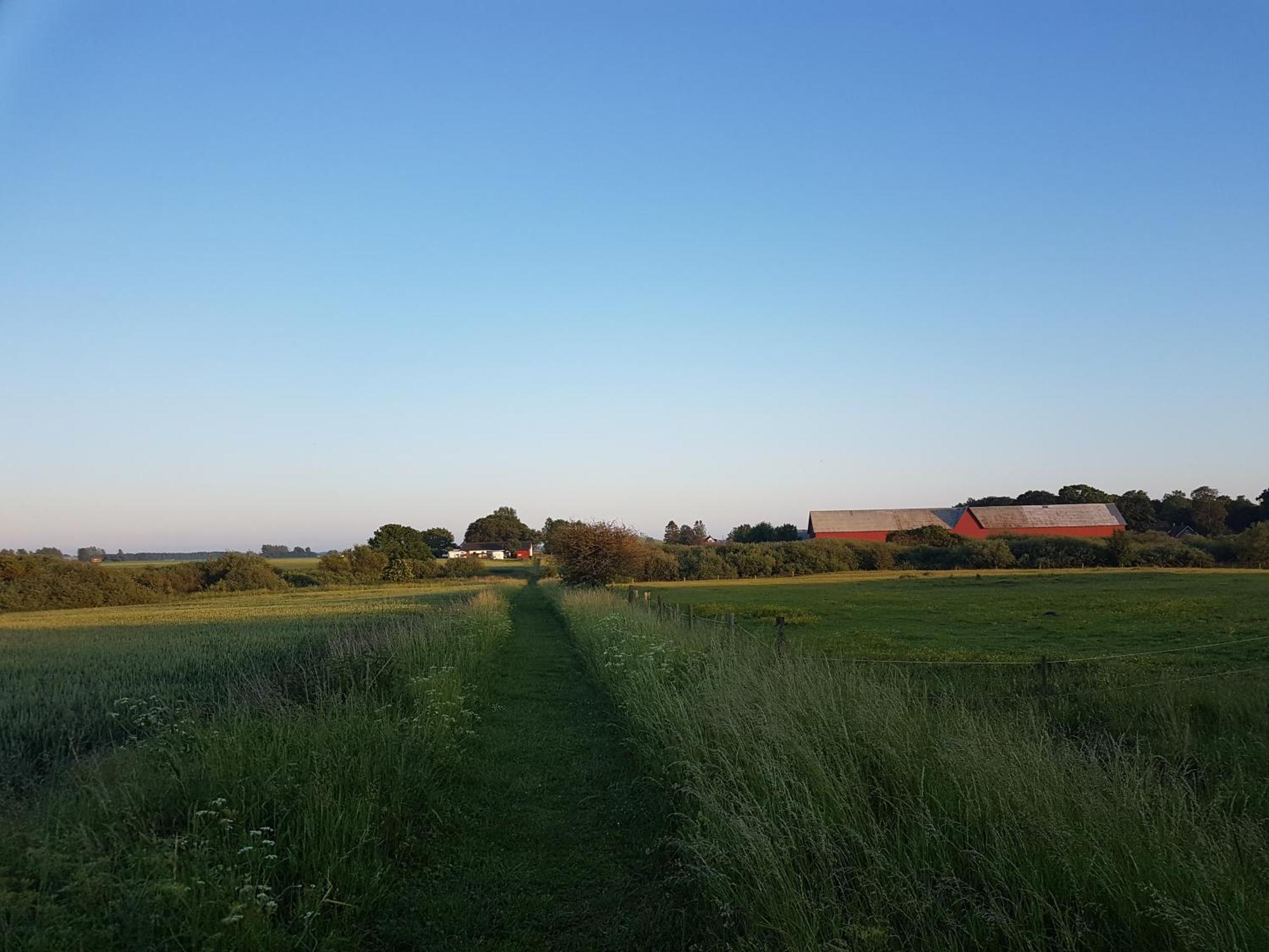 Lantligt Och Lugnt Boende Naera Natur Och Stad スヴェーダーラー自治体 エクステリア 写真