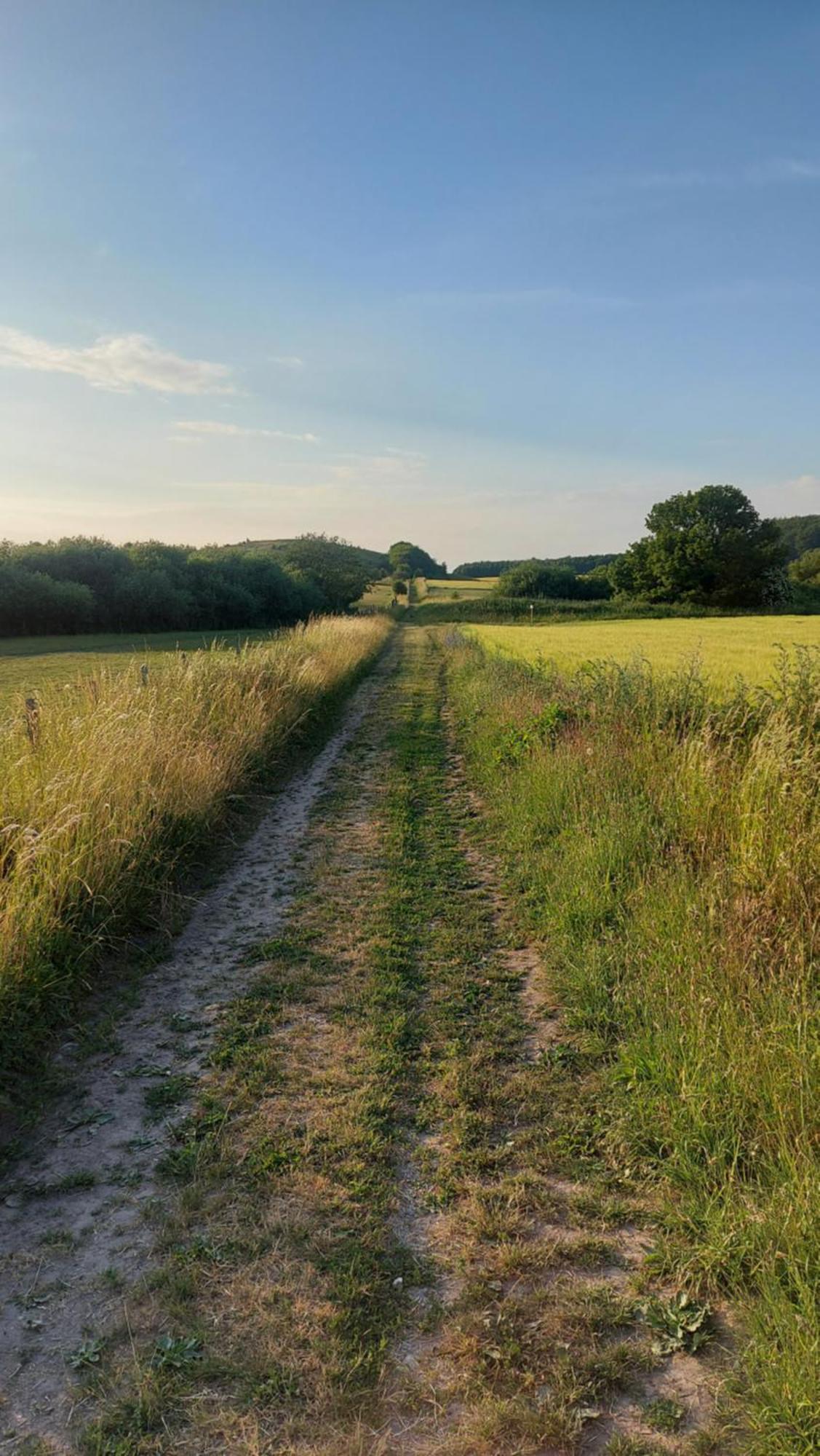 Lantligt Och Lugnt Boende Naera Natur Och Stad スヴェーダーラー自治体 エクステリア 写真