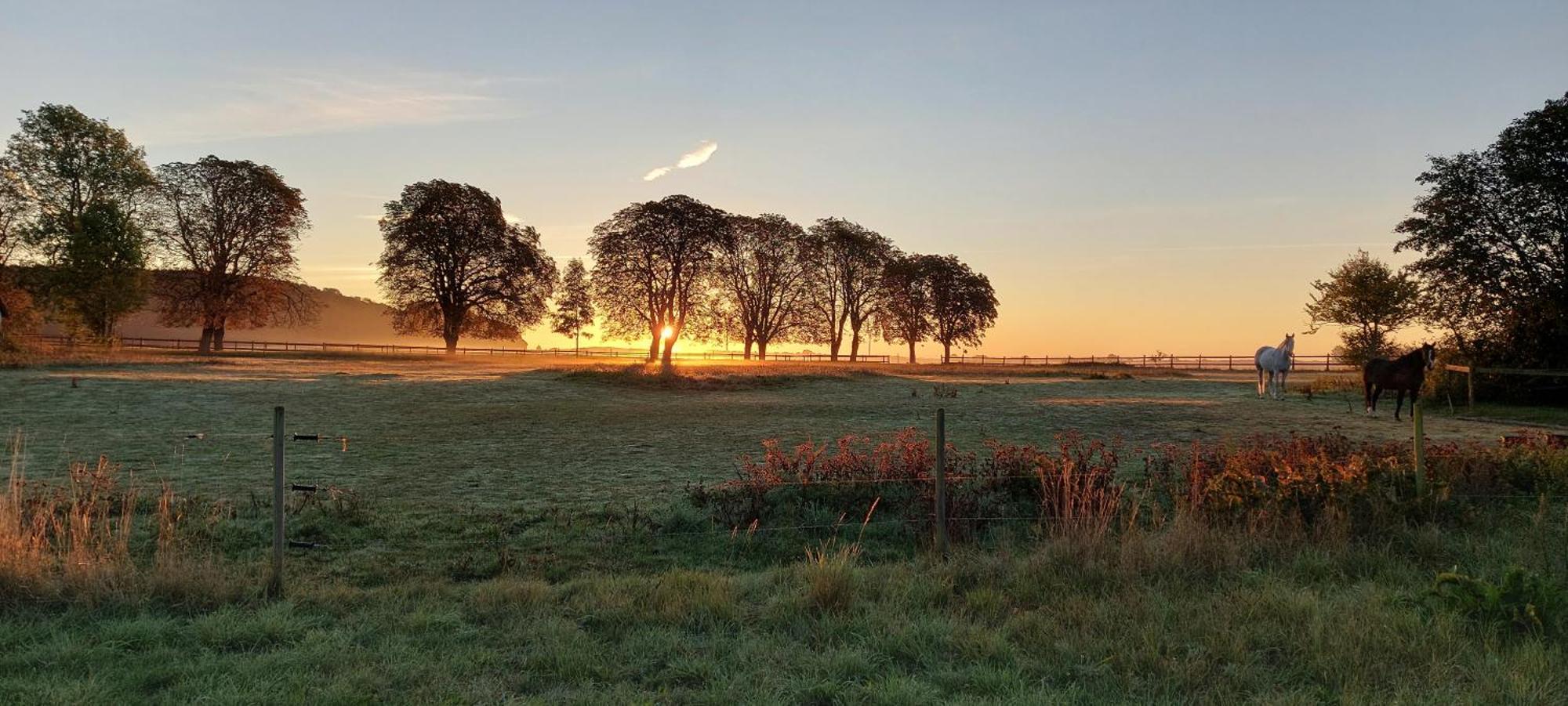 Lantligt Och Lugnt Boende Naera Natur Och Stad スヴェーダーラー自治体 エクステリア 写真