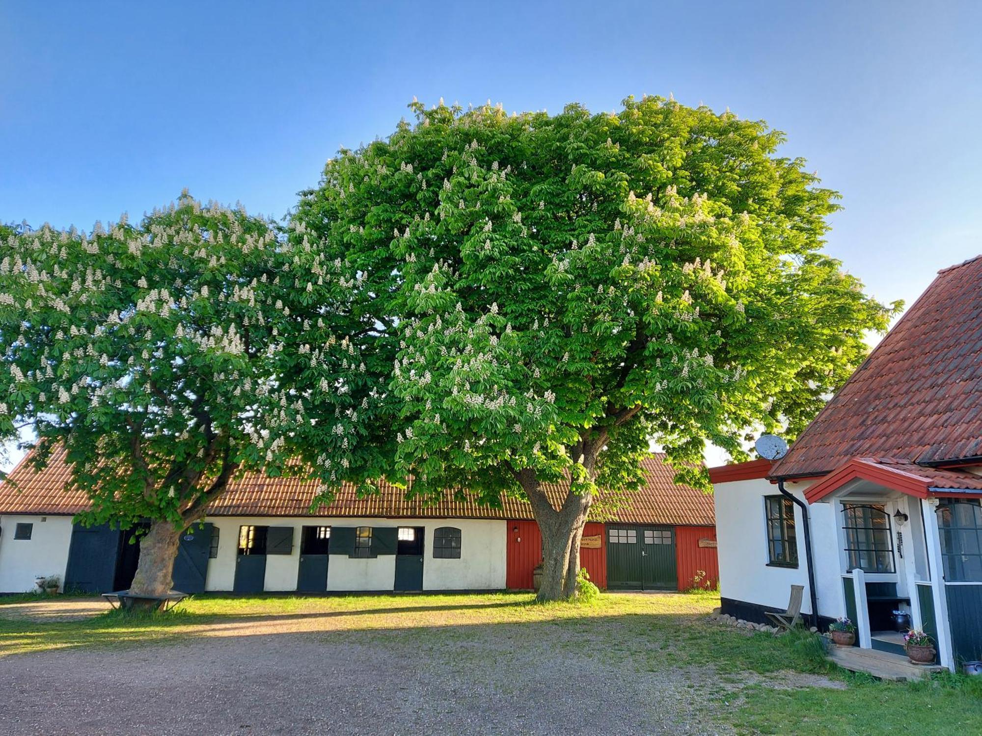 Lantligt Och Lugnt Boende Naera Natur Och Stad スヴェーダーラー自治体 エクステリア 写真