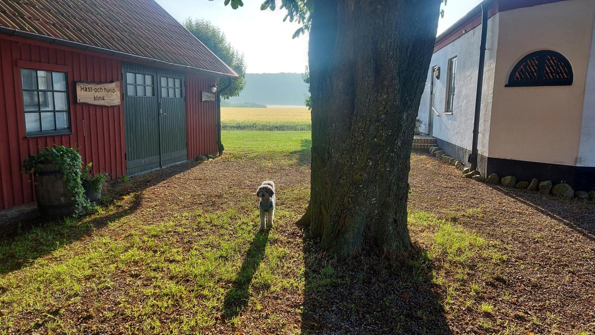Lantligt Och Lugnt Boende Naera Natur Och Stad スヴェーダーラー自治体 エクステリア 写真