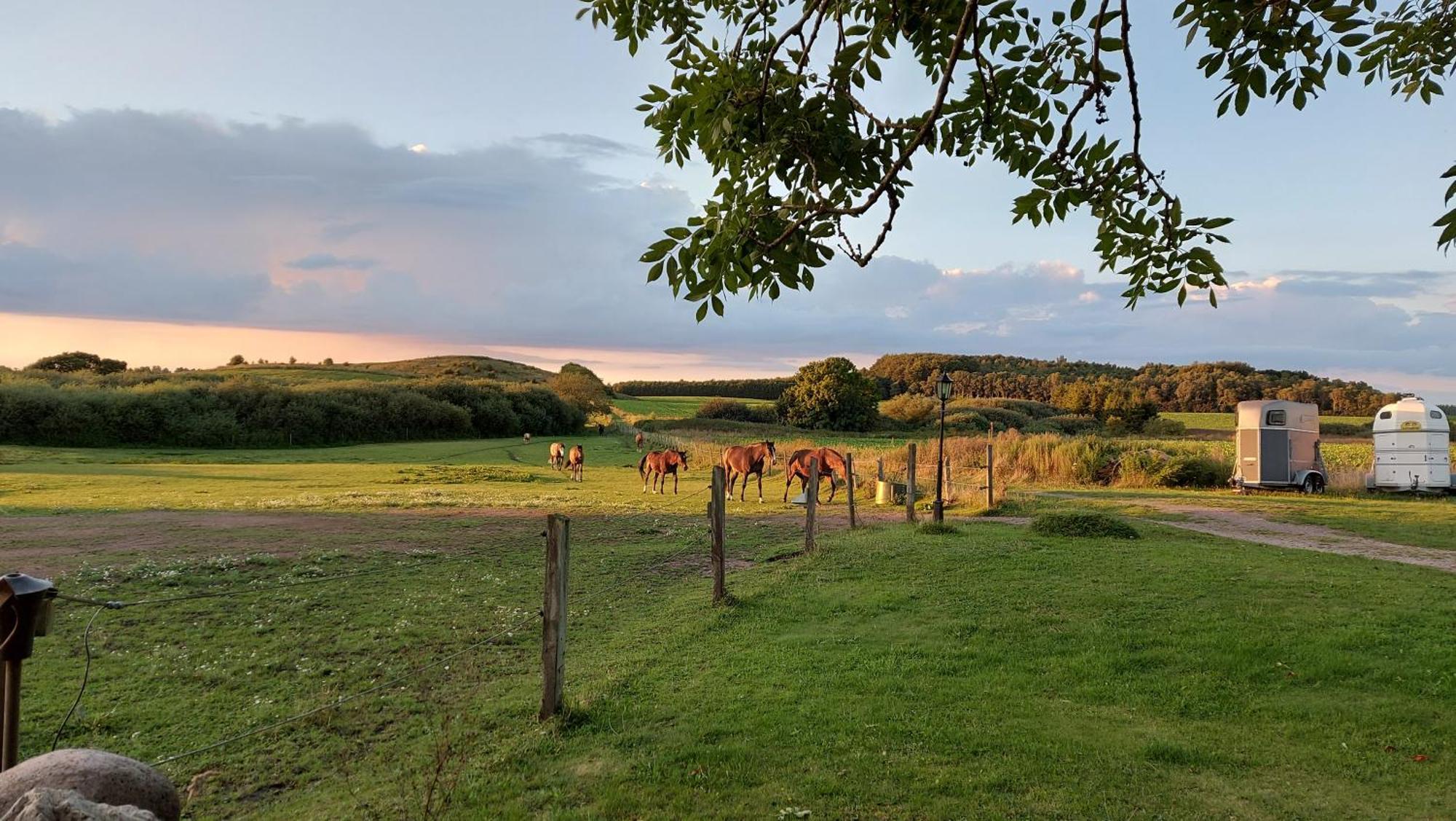 Lantligt Och Lugnt Boende Naera Natur Och Stad スヴェーダーラー自治体 エクステリア 写真