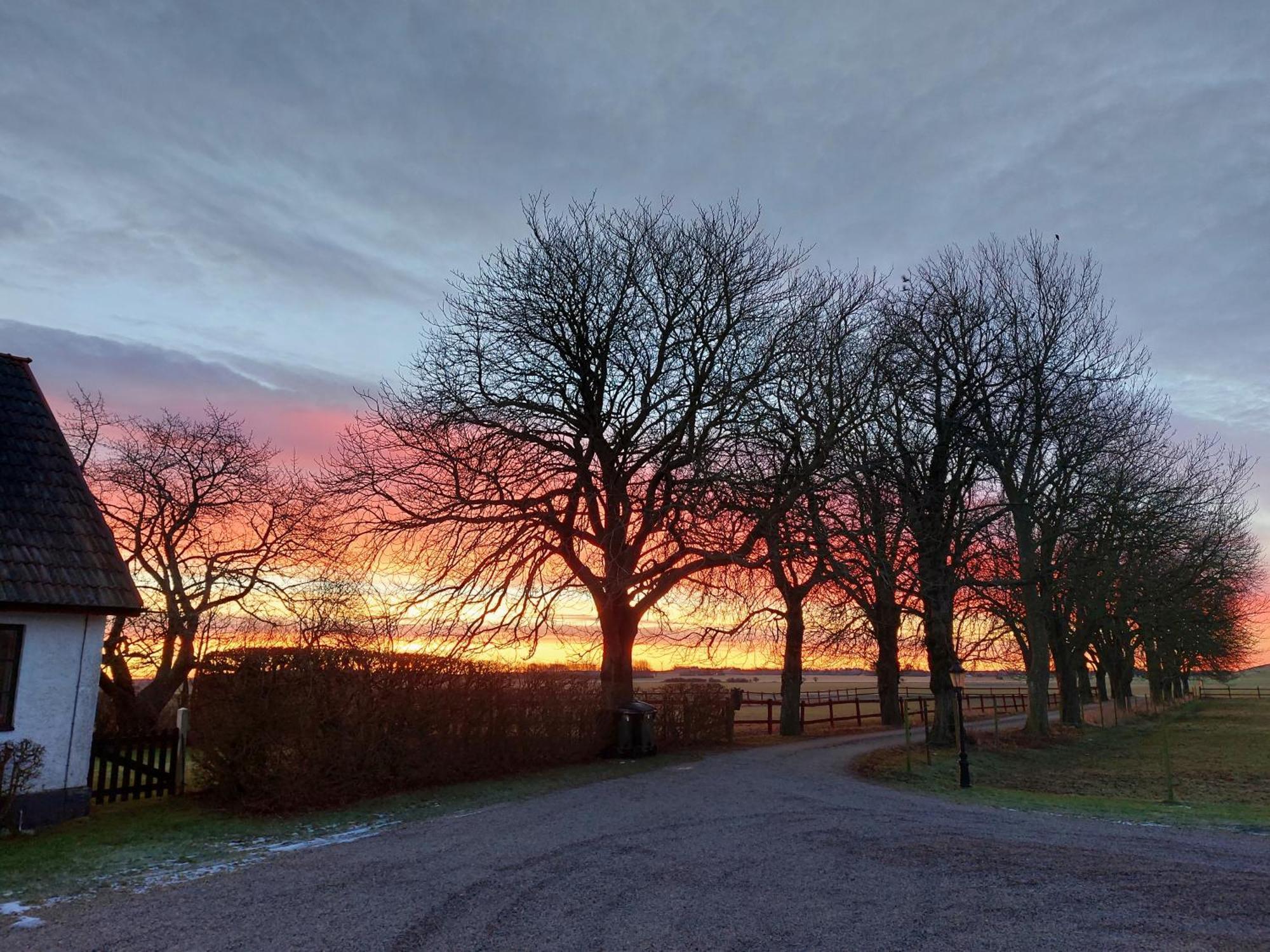 Lantligt Och Lugnt Boende Naera Natur Och Stad スヴェーダーラー自治体 エクステリア 写真