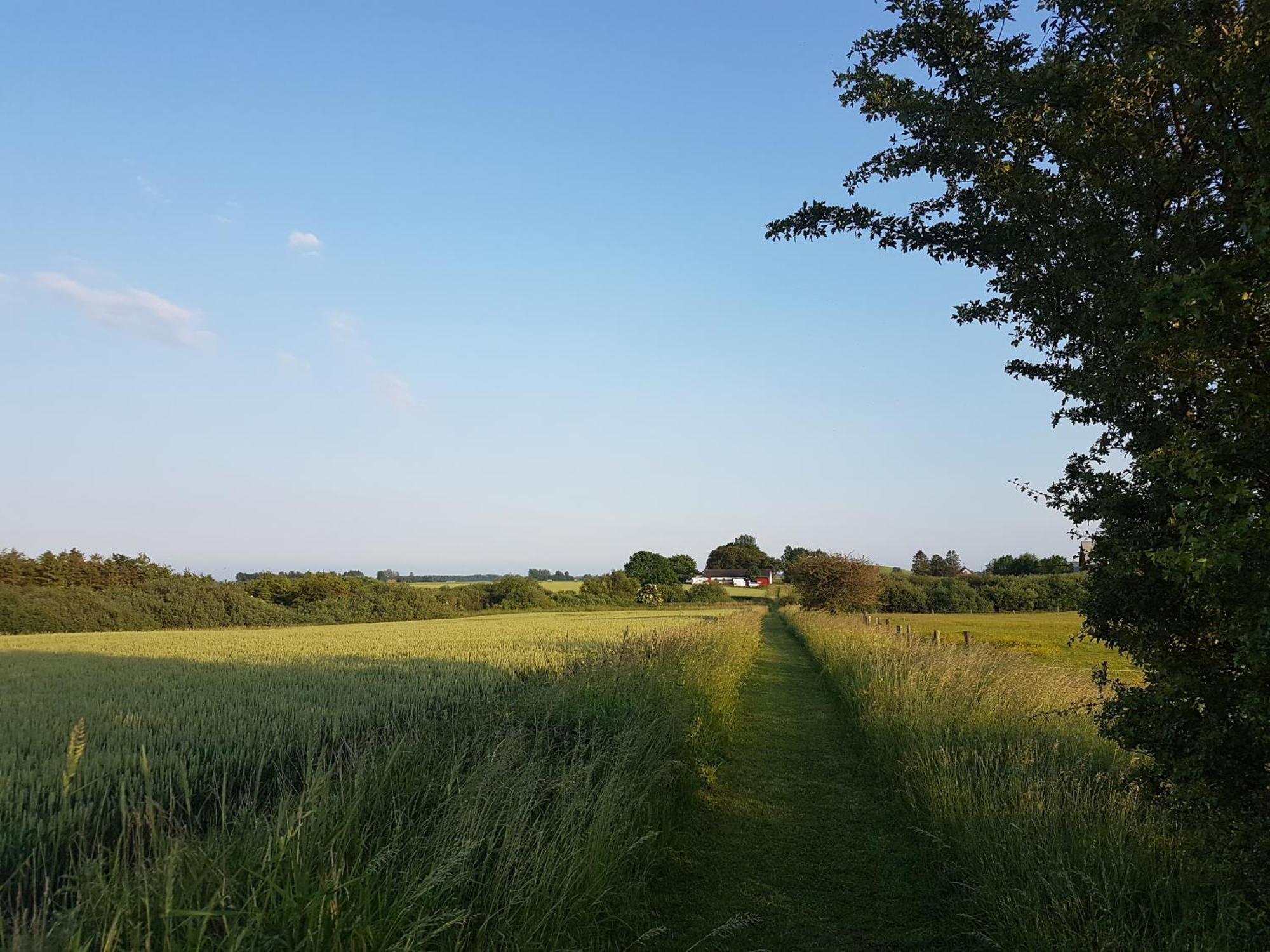 Lantligt Och Lugnt Boende Naera Natur Och Stad スヴェーダーラー自治体 エクステリア 写真