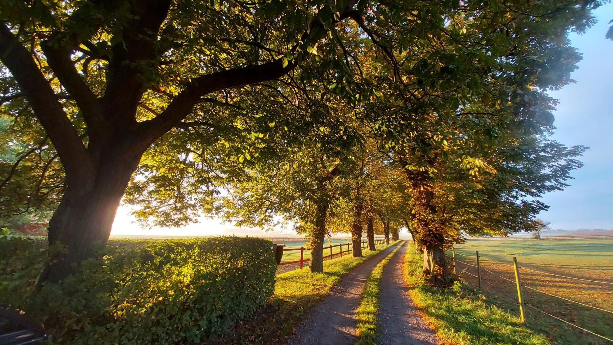 Lantligt Och Lugnt Boende Naera Natur Och Stad スヴェーダーラー自治体 エクステリア 写真